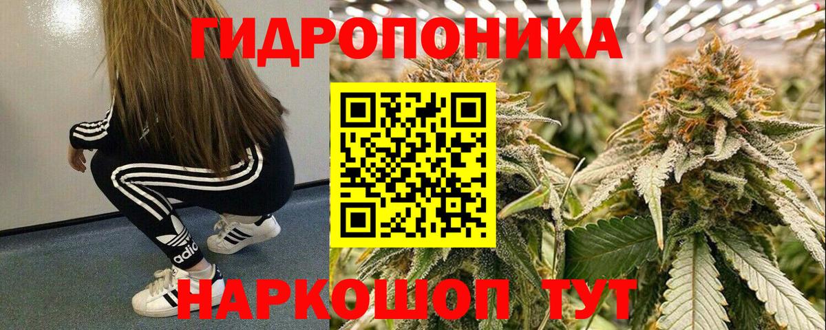 Красноармейск  Конопля сатива  Конопля план  Вход с VPN 